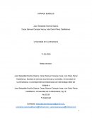 Caso empresa Orange Bubble