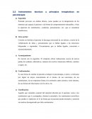 Instrumentos técnicos y principios terapéuticos en psicoterapia