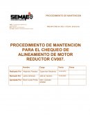 PROCEDIMIENTO DE MANTENCION