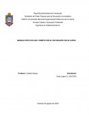 MANEJO EFECTIVO DEL TIEMPO POR EL ESTUDIANTE DULIS LOPEZ