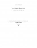 Introducción, a la importancia de la contabilidad