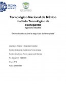 Generalidades sobre la seguridad de la empresa