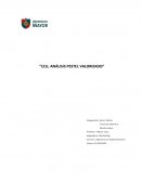 Análisis de mercado y estrategia de CCU: El caso de la nueva Royal Guard amber ale