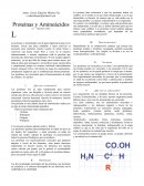 Proteínas y Aminoácidos