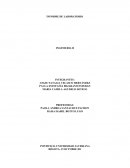 INFORME DE LABORATORIO INGENIERIA