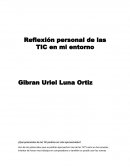 ¿Qué potenciales de las TIC podrían ser más aprovechadas?