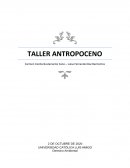 TALLER ANTROPOCENTO