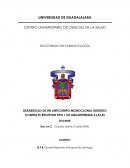 ANTICUERPOS ANTI RECEPTOR ANGIOTENSINA