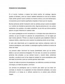 PIONERO DE PARADIGMAS