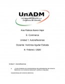 E- Commerce Unidad 1: Autoreflexiones