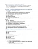 Qué importancia tiene la Industria Minera en México?