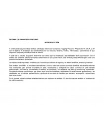 INFORME DE DIAGNOSTICO INTERNO. Página 1
