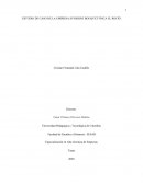 ESTUDIO DE CASO DE LA EMPRESA SUNSHINE BOUQUET FINCA EL ROCIÓ