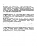 Cual es el papel y cuales son los tipos de planes de desarrollo?