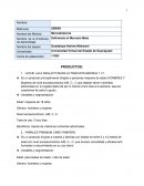 Definiendo el mercado meta. LECHE LALA