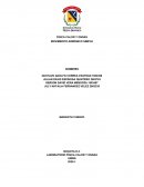 Informe movimiento armonico simple