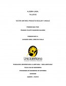 Algebra lineal. Taller de vector unitario, producto escalar y angulo
