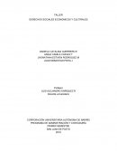 TALLER DERECHOS SOCIALES ECONOMICOS Y CULTURALES