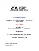 Anestesia para embarazadas