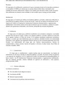 EL RIESGO PAIS BORRADOR