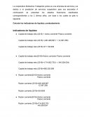 Calculo e interpretación de indicadores financieros