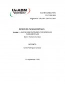 QUE SE DEBE ENTENDER POR DERECHOS FUNDAMENTALES