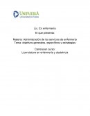 Administración de los servicios de enfermería. Objetivos generales, específicos y estrategias