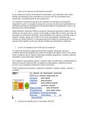 ¿Que son los Sistemas de Información Gerencial?