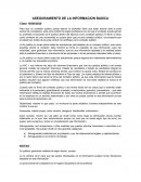 ASEGURAMIENTO DE LA INFORMACION BASICA