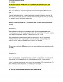 SUPUESTOS DE PRÁCTICAS COMERCIALES DESLEALES