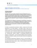 Otros Procedimientos de Control Constitucional