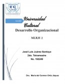Ensayo desarrollo organizacional