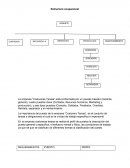 Estructura ocupacional perfiles terminados
