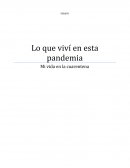 Lo que viví en la pandemia