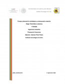 Ensayo planeación estratégica y presupuesto maestro