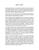 ENSAYO “LA META”