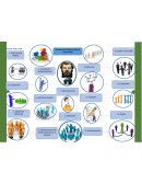 Proyecto de Negocio ¿Quién manda aquí?