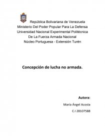 Concepción de lucha no armada. Página 1