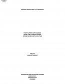 Analisis estructural de la sentencia