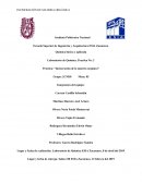 Incineracion De Materia Organica