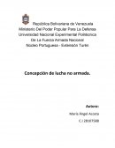 Concepción de lucha no armada
