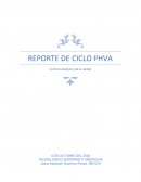 REPORTE DE CICLO PHVA