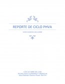 REPORTE DE CICLO PHVA