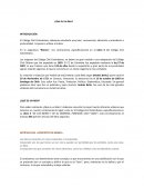 APUNTES BIENES HASTA EL RÉGIMEN JURÍDICO