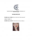 ESTUDIOS CASOS ROMERO