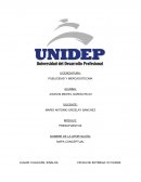 PUBLICIDAD Y MERCADOTECNIA. PRESUPUESTOS