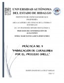 FABRICACIÓN DE CORAZONES POR EL PROCESO SHELL