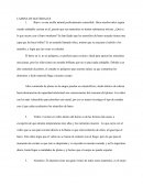 LÁMINA DE MATERIALES