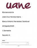 Graficas de Microeconomía