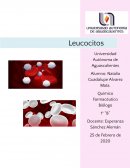Leucocitos